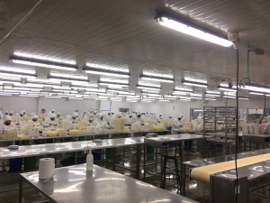 Plantas-industriales_1