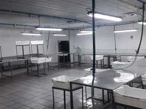 Plantas-industriales_2