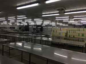 Plantas-industriales_3