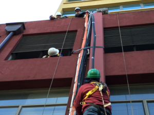 Rep-ductos_1