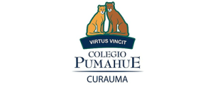 Logo-4