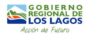 Logo-9