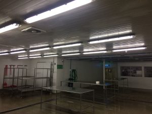 normalizacionelectrica_02