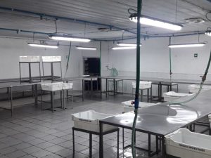 normalizacionelectrica_03
