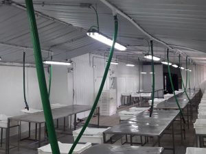 normalizacionelectrica_04