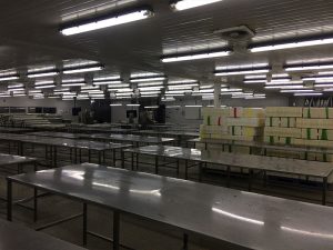 normalizacionelectrica_09