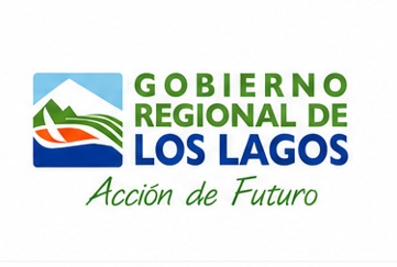 Gobierno regional